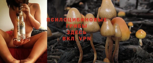 кокаин перу Семёнов
