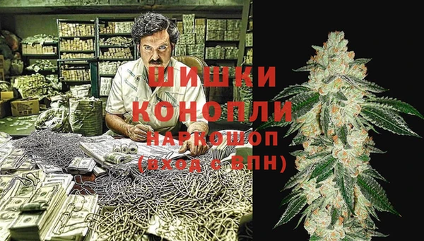 мет Алексин