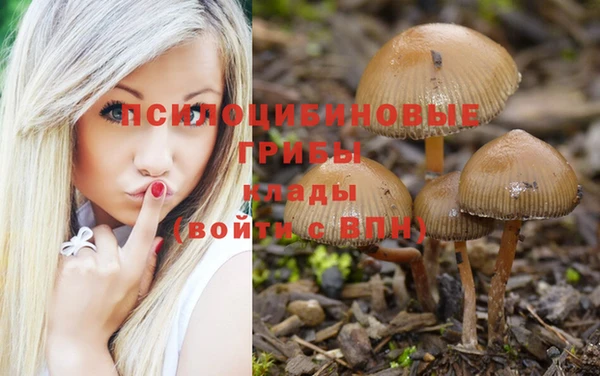 кокаин Алексеевка