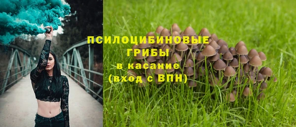 MESCALINE Алзамай
