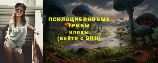 мет Алексин
