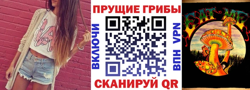 цена наркотик  Похвистнево  Псилоцибиновые грибы Psilocybe 