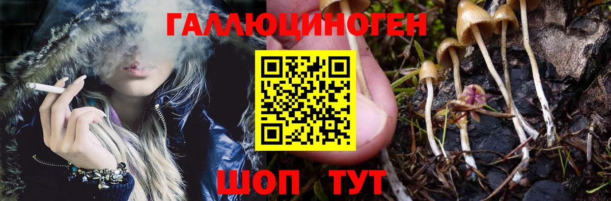 Галлюциногенные грибы MAGIC MUSHROOMS  Вход с VPN  где продают   Похвистнево 
